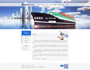 深圳网站建设专家 打造美邮全球物流网站效果图，助力企业扬帆出海